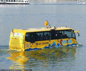 yapboz Amfibi otobüs